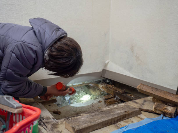 Best Biohazard Mold Removal  in Swainsboro, GA