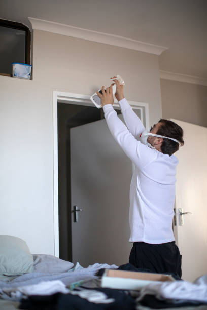 Best Attic Mold Removal  in Swainsboro, GA