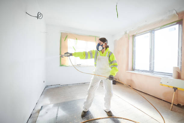 Best Emergency Mold Remediation  in Swainsboro, GA