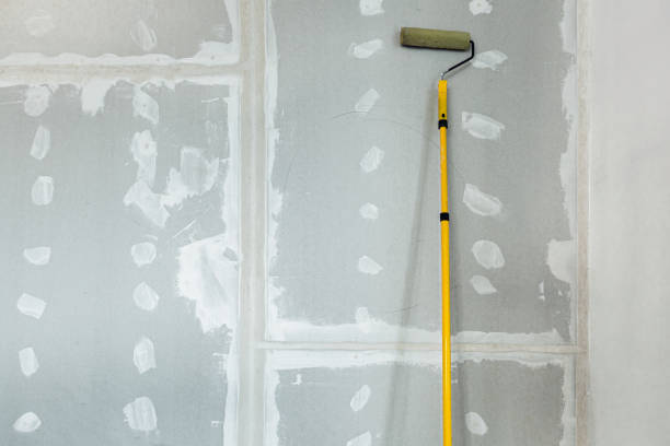 Best Mold Odor Removal Services  in Swainsboro, GA