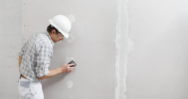Best Asbestos and Lead Testing During Mold Inspection  in Swainsboro, GA