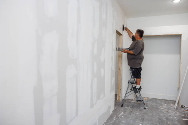 Best Mold Documentation for Insurance Claims  in Swainsboro, GA