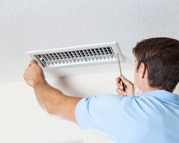 Best Basement Mold Removal  in Swainsboro, GA
