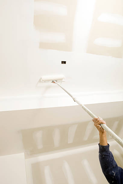 Best Airborne Mold Testing  in Swainsboro, GA