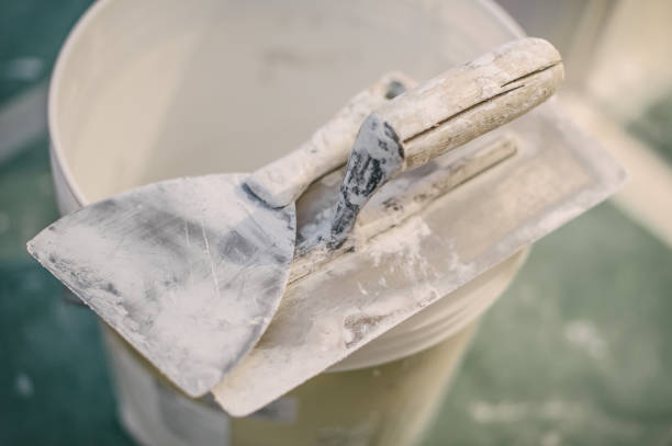 Best Attic Mold Removal  in Swainsboro, GA
